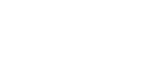 Paws Wellness - Stacked Reversed Logo 1